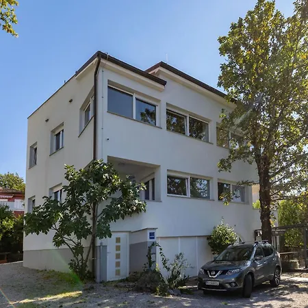 Lovely In With Wifi Apartment